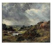 John Constable Branch hill Pond, Hampstead oil painting on canvas